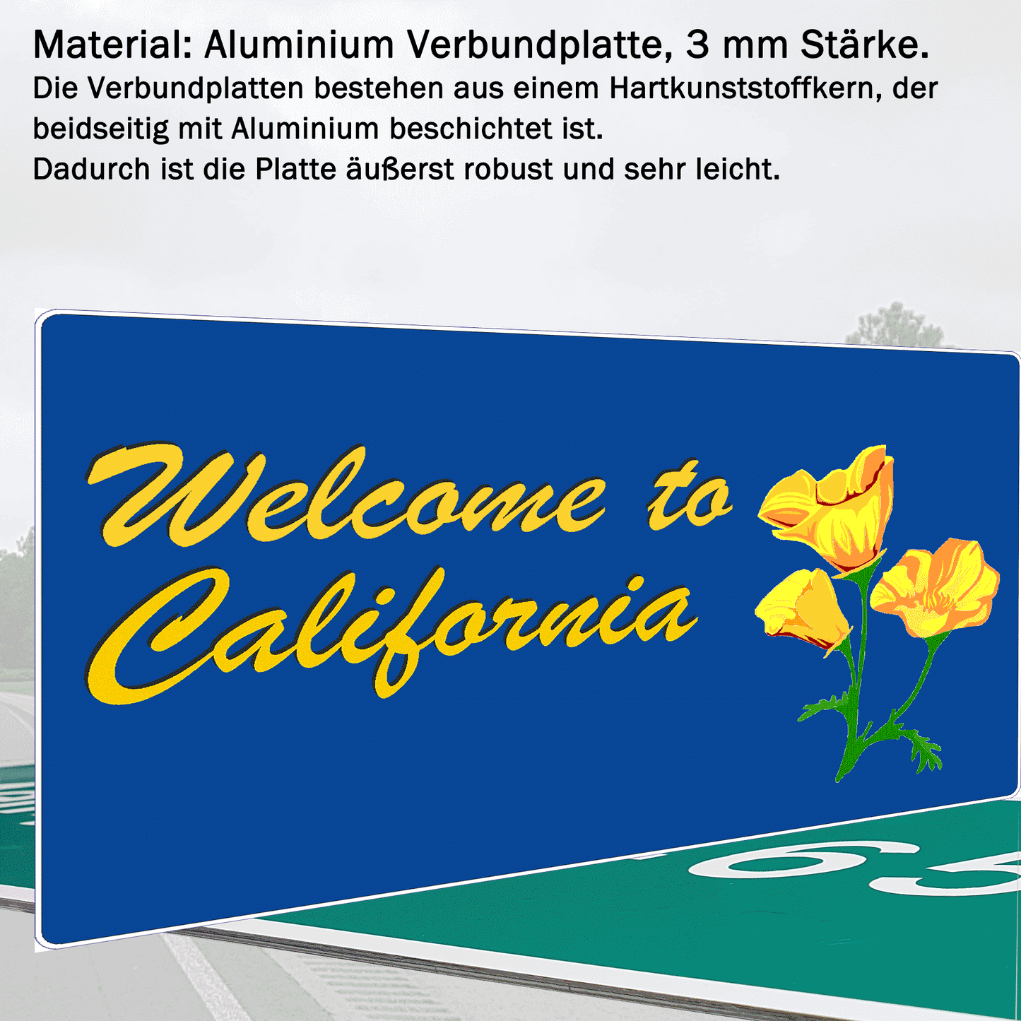 State Border Signs