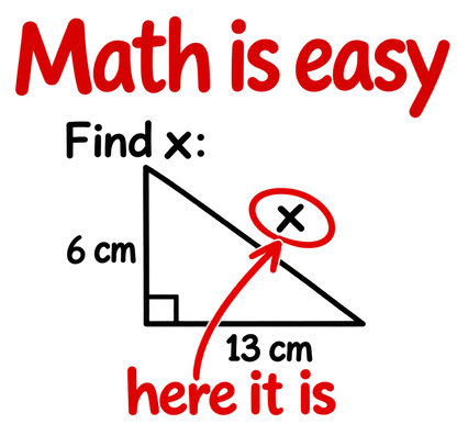Funshirt "MATH IS EASY"