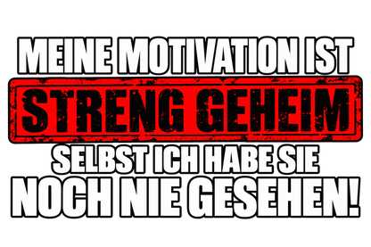 Funshirt "STRENG GEHEIM"