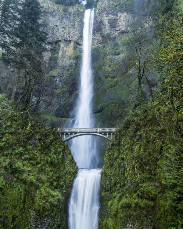 Design - Fototapete "Oregon Falls"