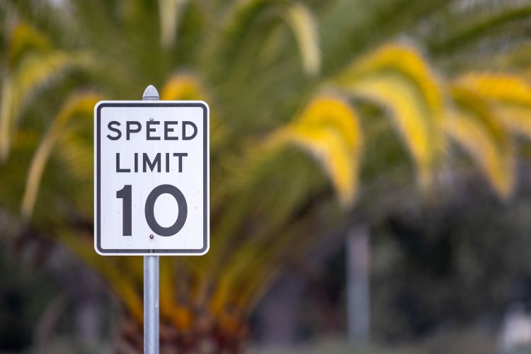 Gartenbanner "Speed Limit"